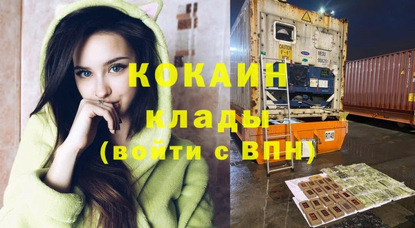 мяу мяу мука Горно-Алтайск