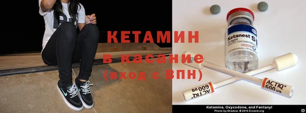 мяу мяу мука Горно-Алтайск