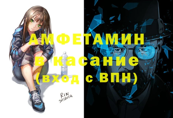 шишки Горнозаводск