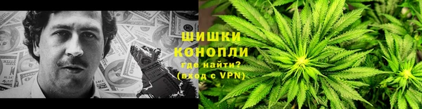 шишки Горнозаводск